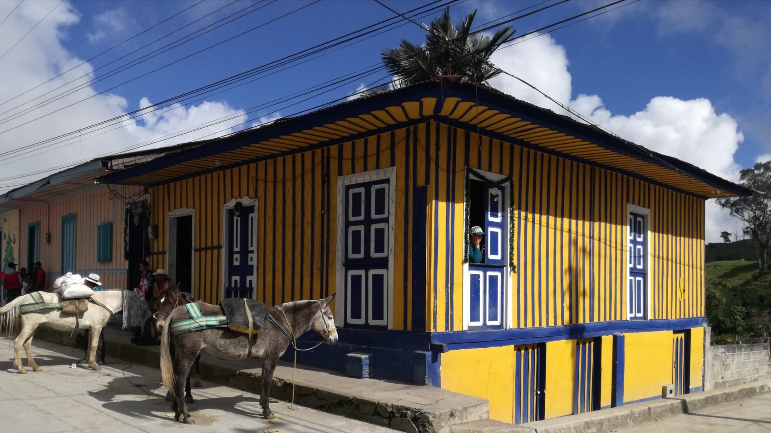 check - in, turismo, pasadias, transporte en ibagué, colombia