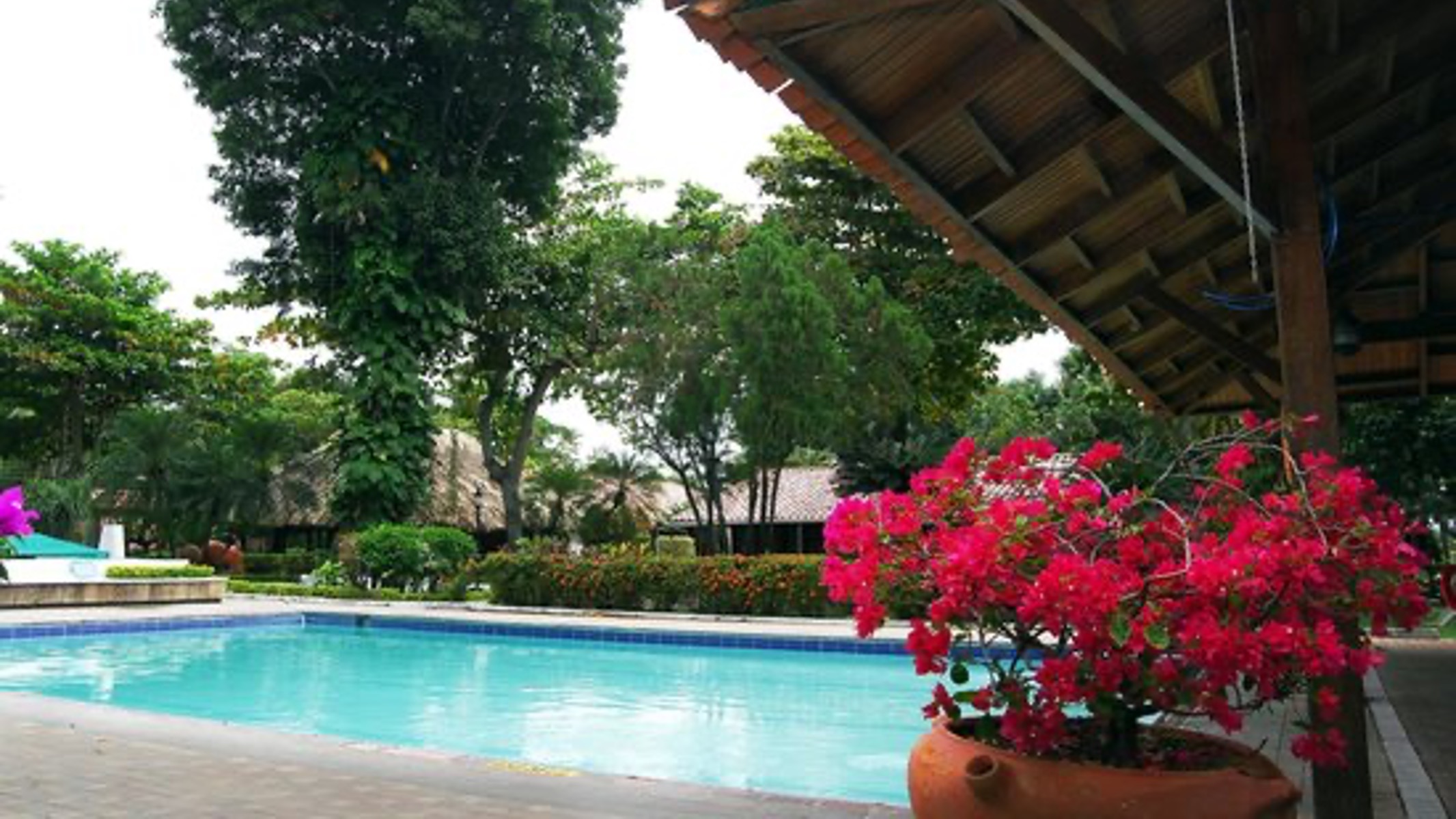 check - in, turismo, pasadias, transporte en ibagué, colombia